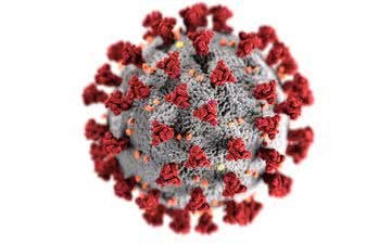 O vírus SARS-CoV-2 pode causar sintomas duradouros como fadiga, dores de cabeça e tosse - CDC/Alissa Eckert