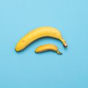 Pesquisadora alerta para problemas com reprodução no futuro - iStock