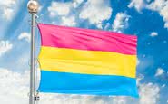 Bandeira do orgulho pansexual (foto); na do orgulho bissexual, é o lilás que aparece entre o rosa e o azul - iStock