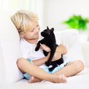 Gatos pretos são animais de estimação maravilhosos e merecem uma chance tão boa quanto qualquer outro de adoção - iStock