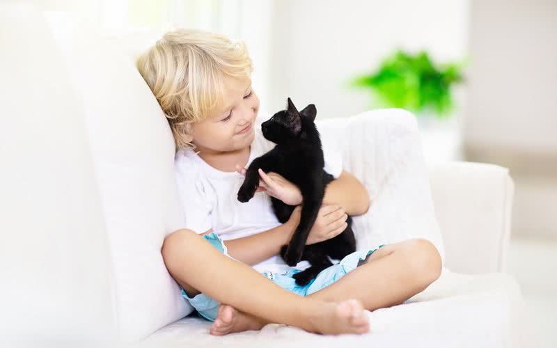 Gatos pretos são animais de estimação maravilhosos e merecem uma chance tão boa quanto qualquer outro de adoção - iStock