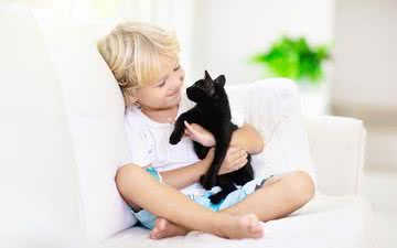 Gatos pretos são animais de estimação maravilhosos e merecem uma chance tão boa quanto qualquer outro de adoção - iStock