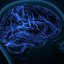 As redes de neurônios se comunicam para regular funções específicas, como processar emoções ou tomar decisões - iStock