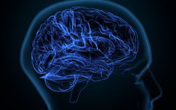 As redes de neurônios se comunicam para regular funções específicas, como processar emoções ou tomar decisões - iStock