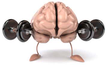 Tanto os exercícios aeróbicos quanto treinamento com pesos parecem ajudar a tornar os cérebros mais flexíveis - iStock