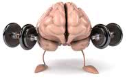 Tanto os exercícios aeróbicos quanto treinamento com pesos parecem ajudar a tornar os cérebros mais flexíveis - iStock