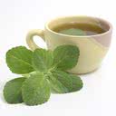 O chá de boldo tem sido usado para tratar transtornos digestivos e auxiliar no tratamento de problemas hepáticos - iStock