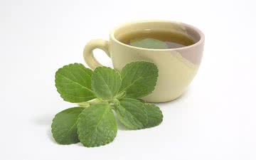 O chá de boldo tem sido usado para tratar transtornos digestivos e auxiliar no tratamento de problemas hepáticos - iStock