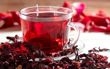 O chá de hibiscus melhora a imunidade por ser considerado uma potência antibacteriana - iStock