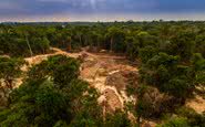 Mineração ilegal causa desmatamento e poluição fluvial na floresta amazônica perto da Terra Indígena Menkragnoti, no Pará - iStock