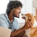 Durante a pesquisa, cientistas compararam as respostas cerebrais de humanos e cães de companhia à fala - iStock