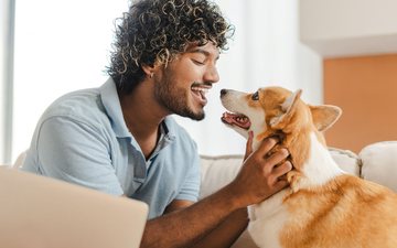 Cães usam método admirável para entender a linguagem humana, mostra estudo