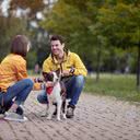 Tutores de cães têm mais chance de conversar com pessoas que não conhecem quando caminham com o pet - iStock