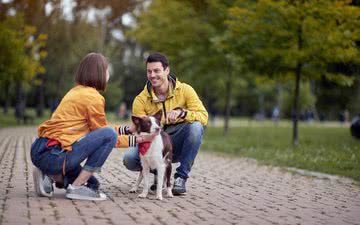 Tutores de cães têm mais chance de conversar com pessoas que não conhecem quando caminham com o pet - iStock