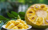 A fruta é rica em alguns antioxidantes poderosos que fornecem vários benefícios à saúde, como risco reduzido de várias doenças - iStock