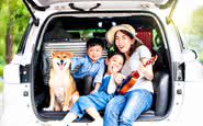 Viajar de carro: é importante fazer várias paradas durante o percurso para que o pet possa se hidratar, defecar e urinar - iStock