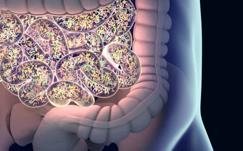 O microbioma intestinal desempenha um papel importante no controle de peso - iStock