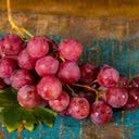 Uvas escuras fornecem efeito protetor às células do organismo por meio de suas propriedades - iStock