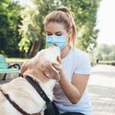 Felizmente, os animais são assintomáticos ou apresentam sintomas leves - iStock