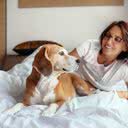 Certas pesquisas indicam que dormir com o pet pode trazer vantagens, mas há questões a serem consideradas - iStock