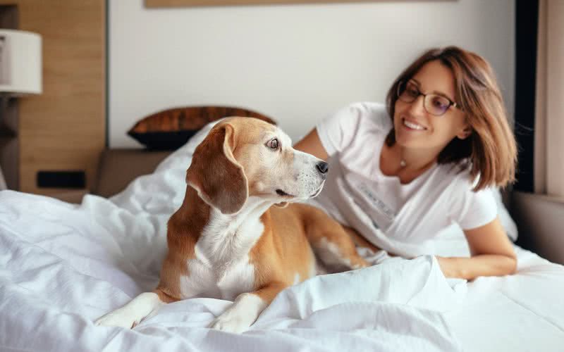 Certas pesquisas indicam que dormir com o pet pode trazer vantagens, mas há questões a serem consideradas - iStock