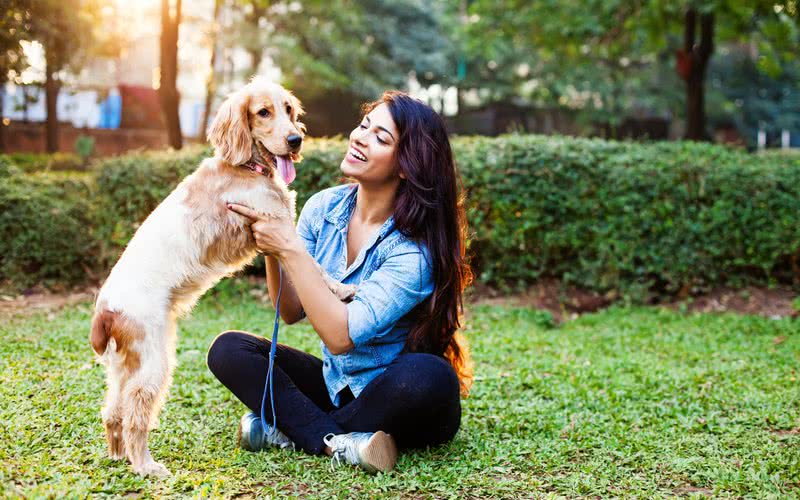 Acariciar cachorros pode reduzir o nível de estresse - iStock