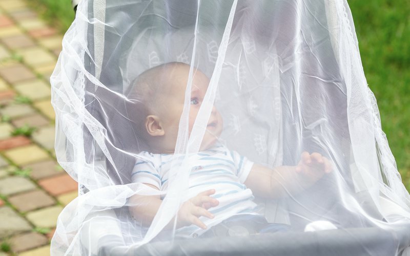 A partir dos 3 meses os bebês já podem receber fórmulas especiais de repelente - iStock