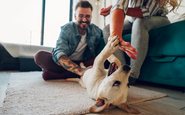 Cada tipo de atividade com um cão pode ter um benefício diferente - iStock