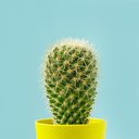 Ele diz que a relação durou bastante, e agora está com o pênis sensível - iStock