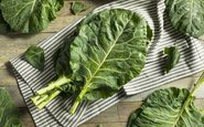 Vegetais como folhas verdes são exemplos de alimentos antioxidantes - iStock