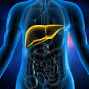 A cirrose é uma doença silenciosa, por isso quem exagera na bebida deve fazer exames de avaliação - iStock