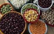 Grãos integrais, feijões e lentilhas são exemplos de alimentos que favorecem nossa saúde mental - iStock