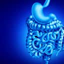Existem vários fatores de risco para as doenças inflamatórias intestinais, como a doença de Crohn - iStock