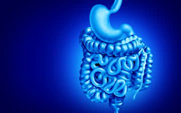Existem vários fatores de risco para as doenças inflamatórias intestinais, como a doença de Crohn - iStock
