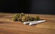 Usuários de maconha apresentaram risco 29% maior de ataques cardíacos e 20% maior de derrame - iStock
