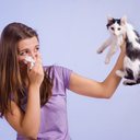 Alergia costuma vir de uma informação herdada geneticamente, o que faz com que a pessoa reaja de maneira exagerada - iStock