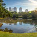 Observar a natureza por alguns minutos faz ansiedade dos jovens diminuir - iStock