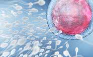Pesquisadores usaram antiviral contra HIV para reverter danos em óvulos - iStock