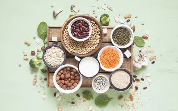 Diversos alimentos de origem vegetal também oferecem um aporte significativo de proteínas - iStock