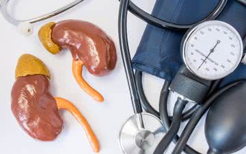 Os rins desempenham um papel central na regulação da pressão arterial - iStock