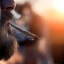 O uso de maconha saltou de 34% (2016) para 43% entre os jovens entrevistados - iStock