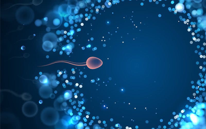Nem sempre o resultado desses exames indica infertilidade - iStock