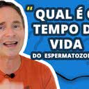 O espermatozoide tem uma vida bem curta e sobrevive por pouco tempo fora da proteção do sêmen - Reprodução